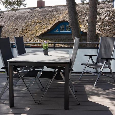 Ferienwohnung Haus am Dünenwald Düne 4 Ostseeheilbad Ostseeheilbad Zingst Exterior foto
